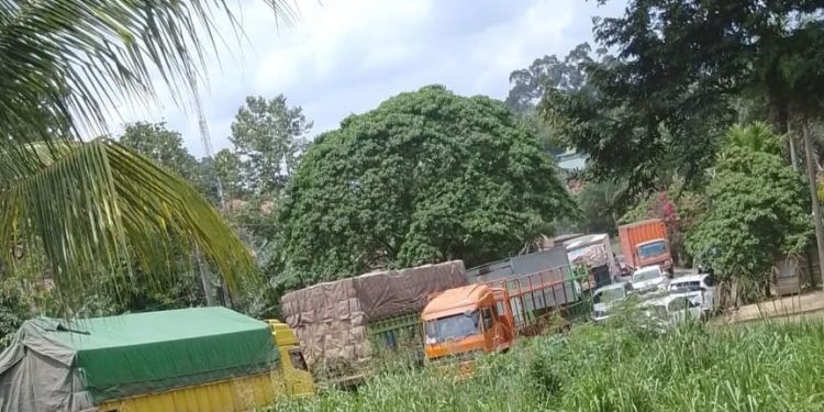 Infrastruktur Jalan di Bayung Lencir Rusak Parah, Ancam Keselamatan Masyarakat Pemerintah Provinsi Sumatera Selatan Harus Sigap Dan Bergerak Cepat.,