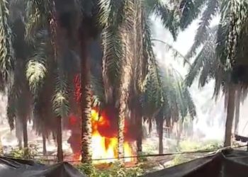Diduga menegement PT Hindoli Cargil Ada Andil, Dalam Pengeboran Minyak Ilegal Di area Kebun/HGU PT Hindoli,