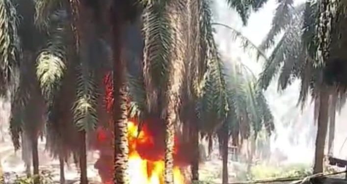 Diduga menegement PT Hindoli Cargil Ada Andil, Dalam Pengeboran Minyak Ilegal Di area Kebun/HGU PT Hindoli,